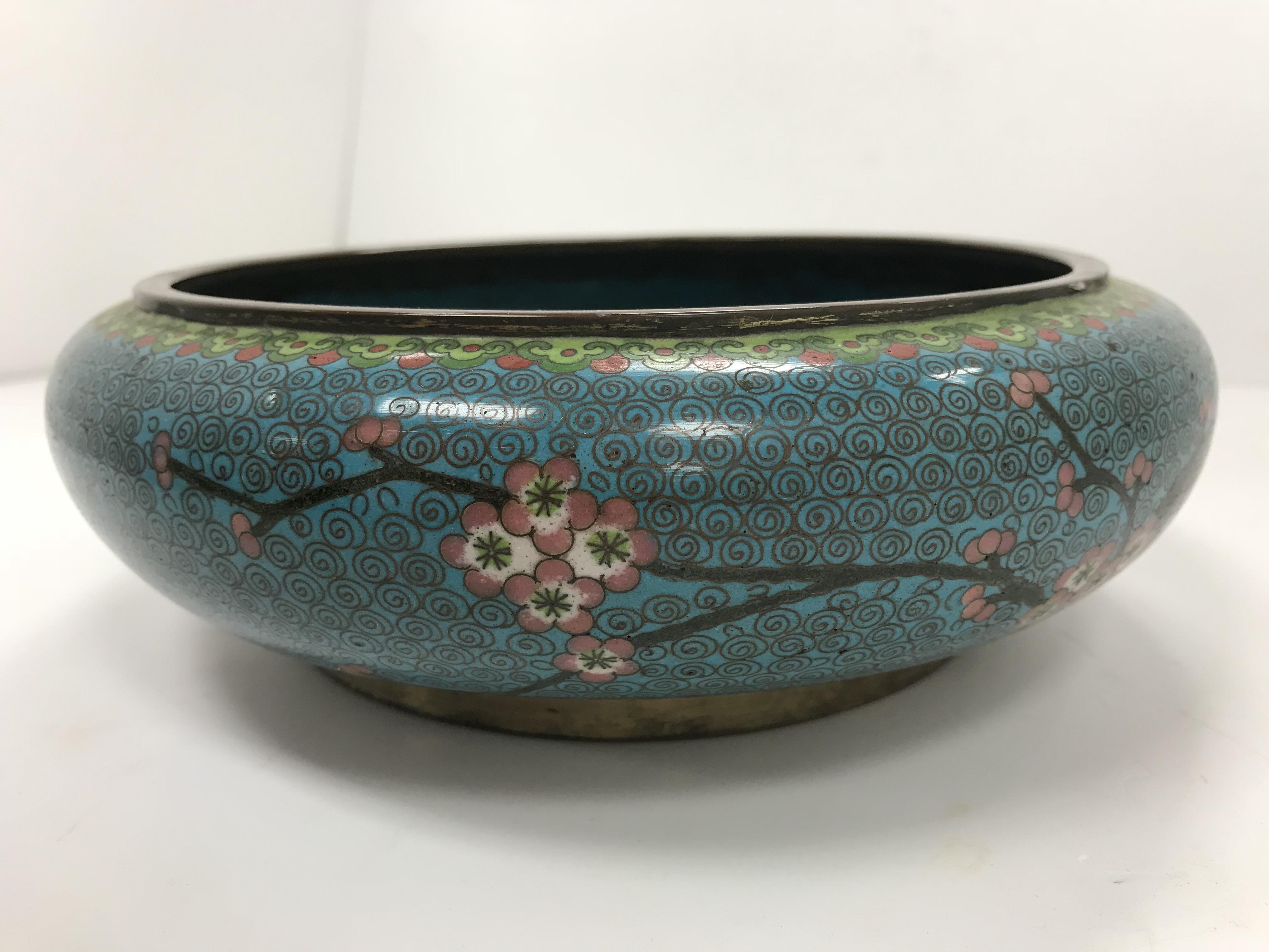 A Chinese turquoise ground cloisonné shallow bowl decorated with branches of prunus blossom raised - Image 6 of 24