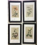 A set of four late 18th Century hand coloured botanical engravings published by William Curtis,