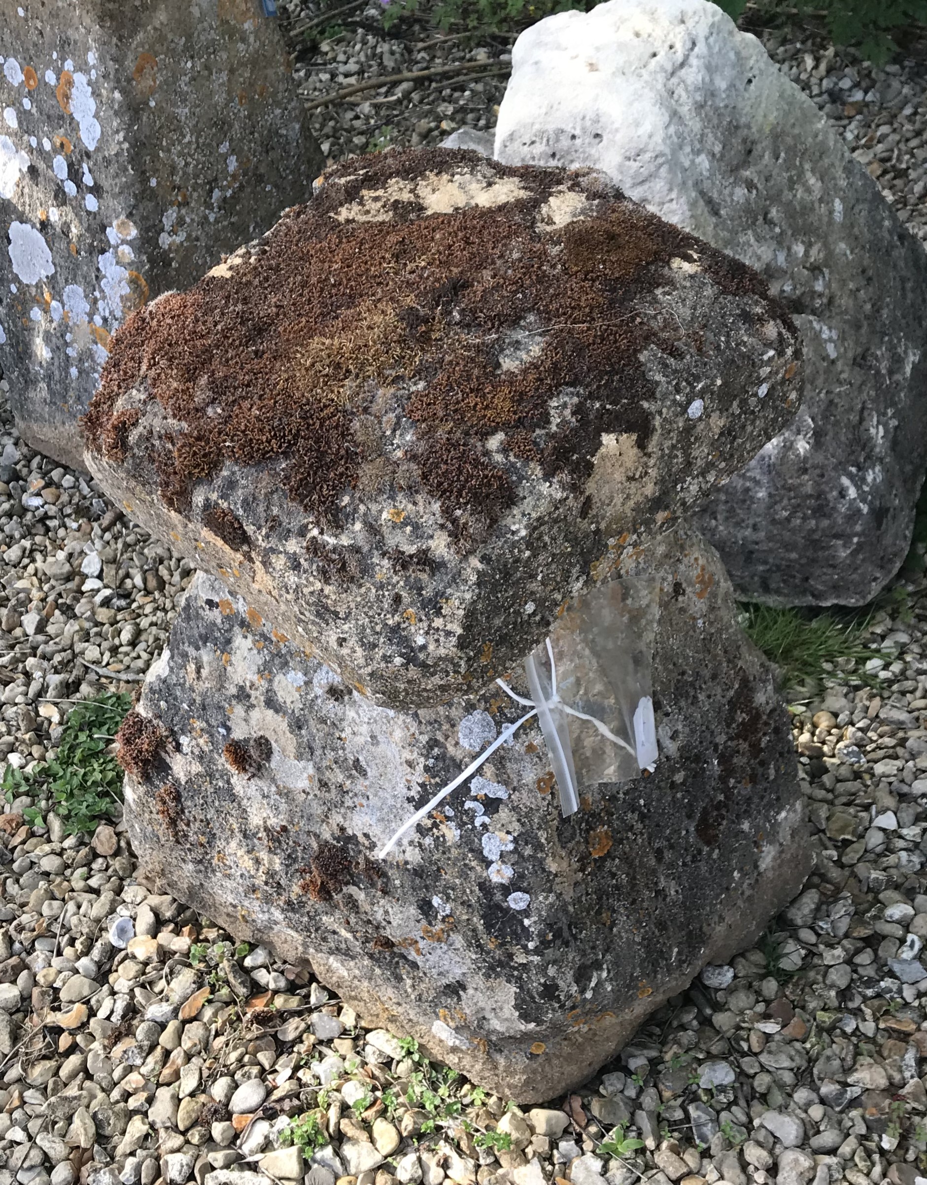 Two natural stone staddle stones, one with square top, - Image 2 of 2