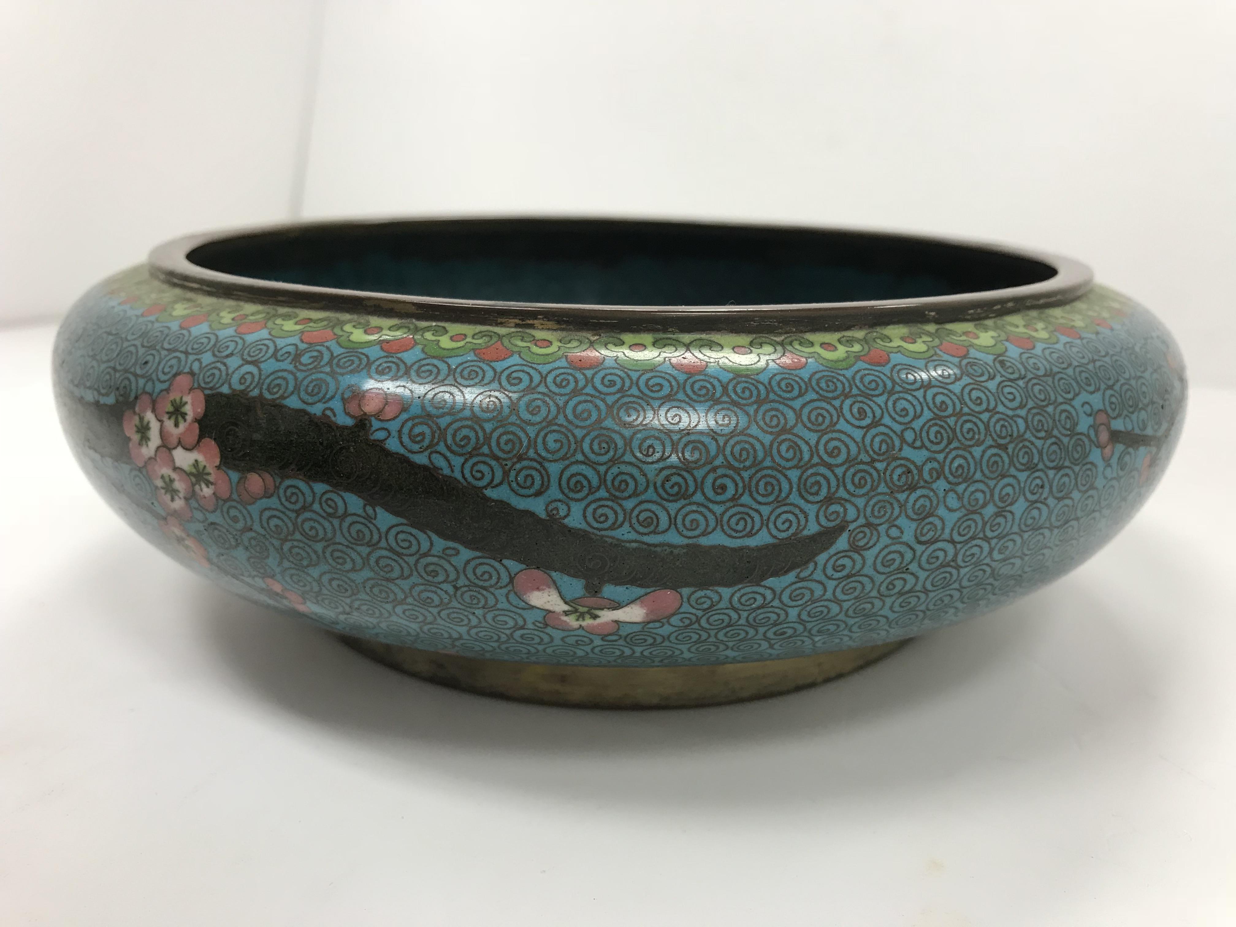 A Chinese turquoise ground cloisonné shallow bowl decorated with branches of prunus blossom raised - Image 5 of 24