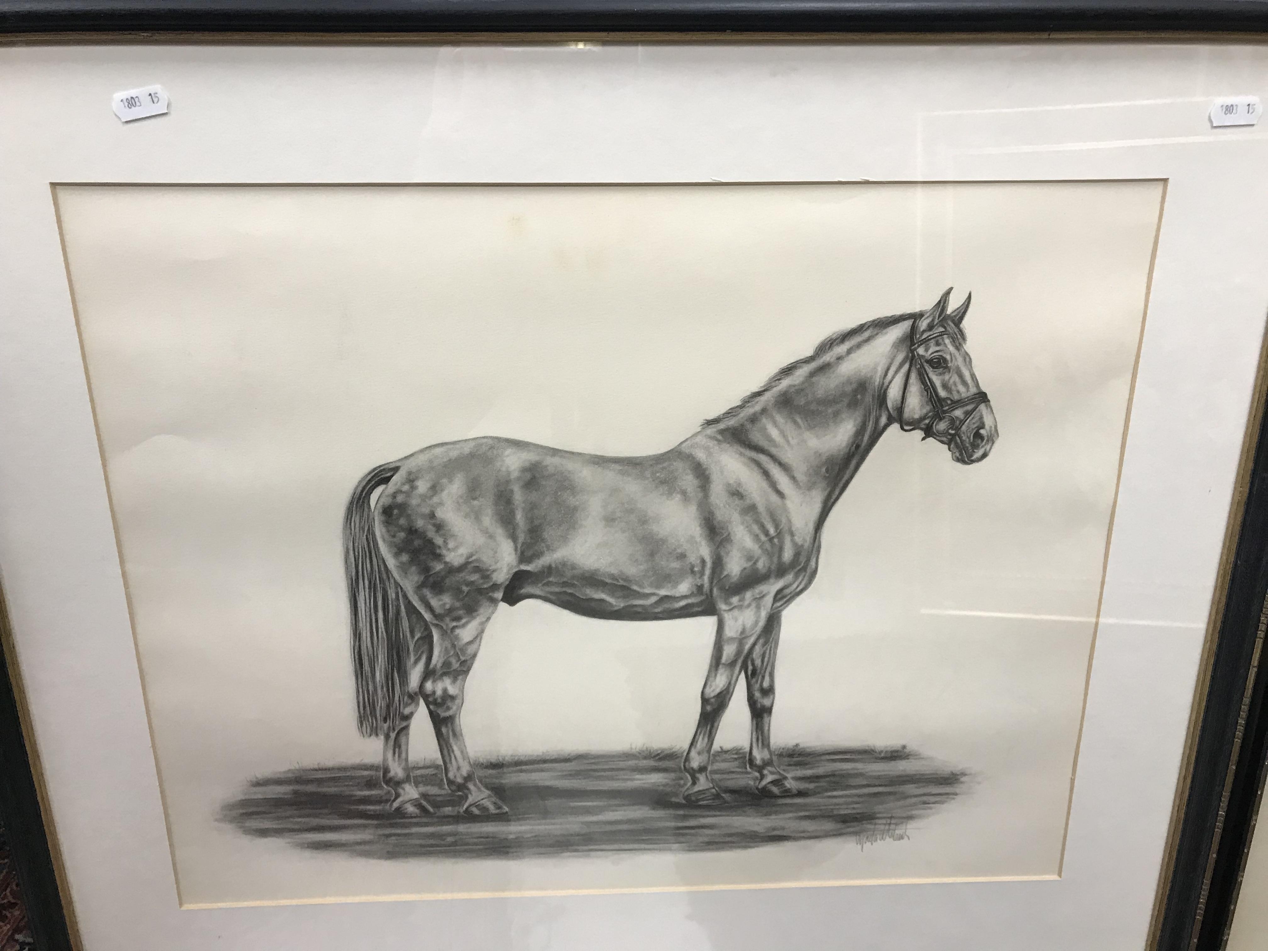 ENGLISH SCHOOL "Study of a horse", pencil, indistinctly signed lower right, 43 cm x 54. - Image 2 of 4