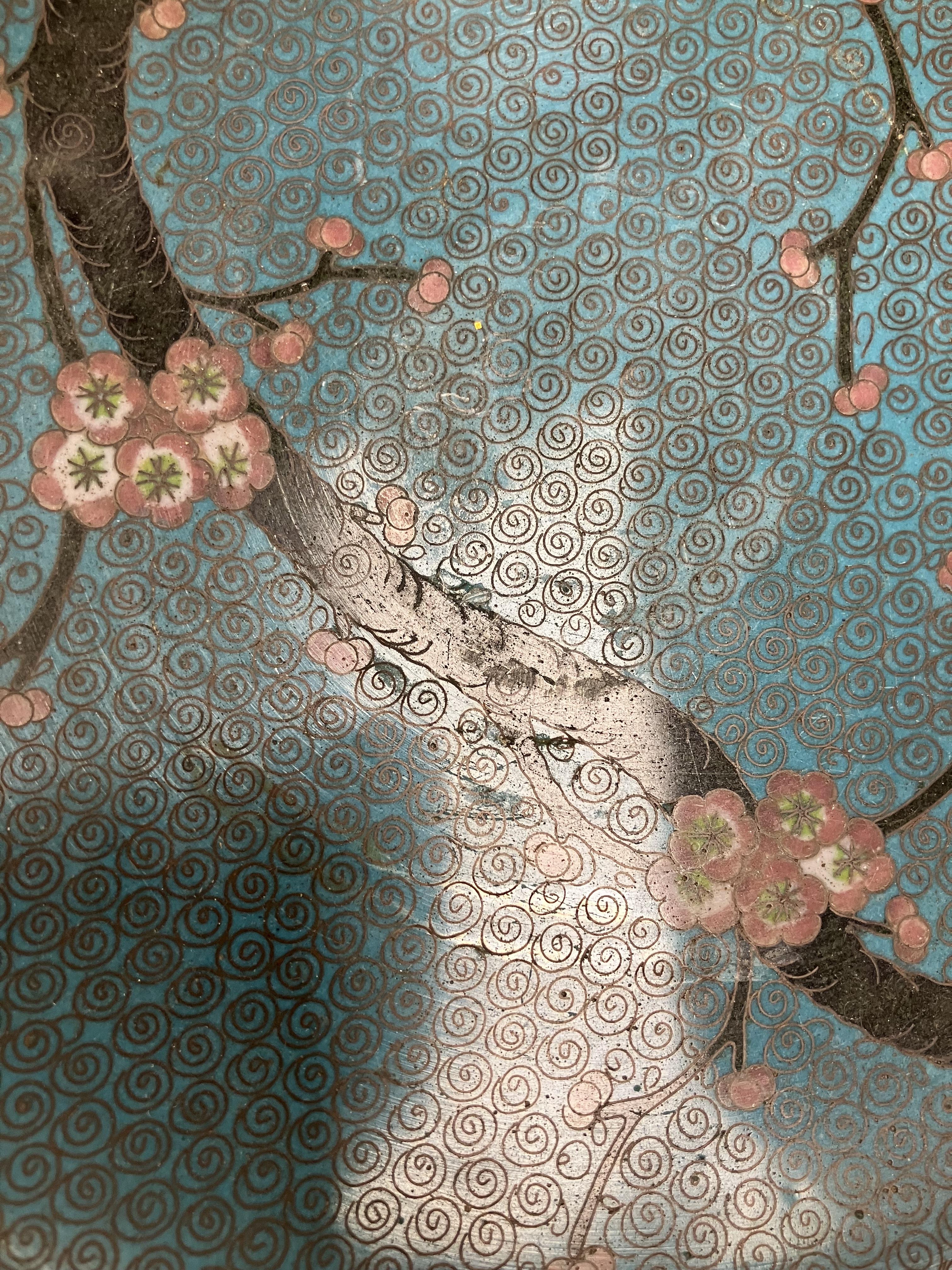 A Chinese turquoise ground cloisonné shallow bowl decorated with branches of prunus blossom raised - Image 21 of 24