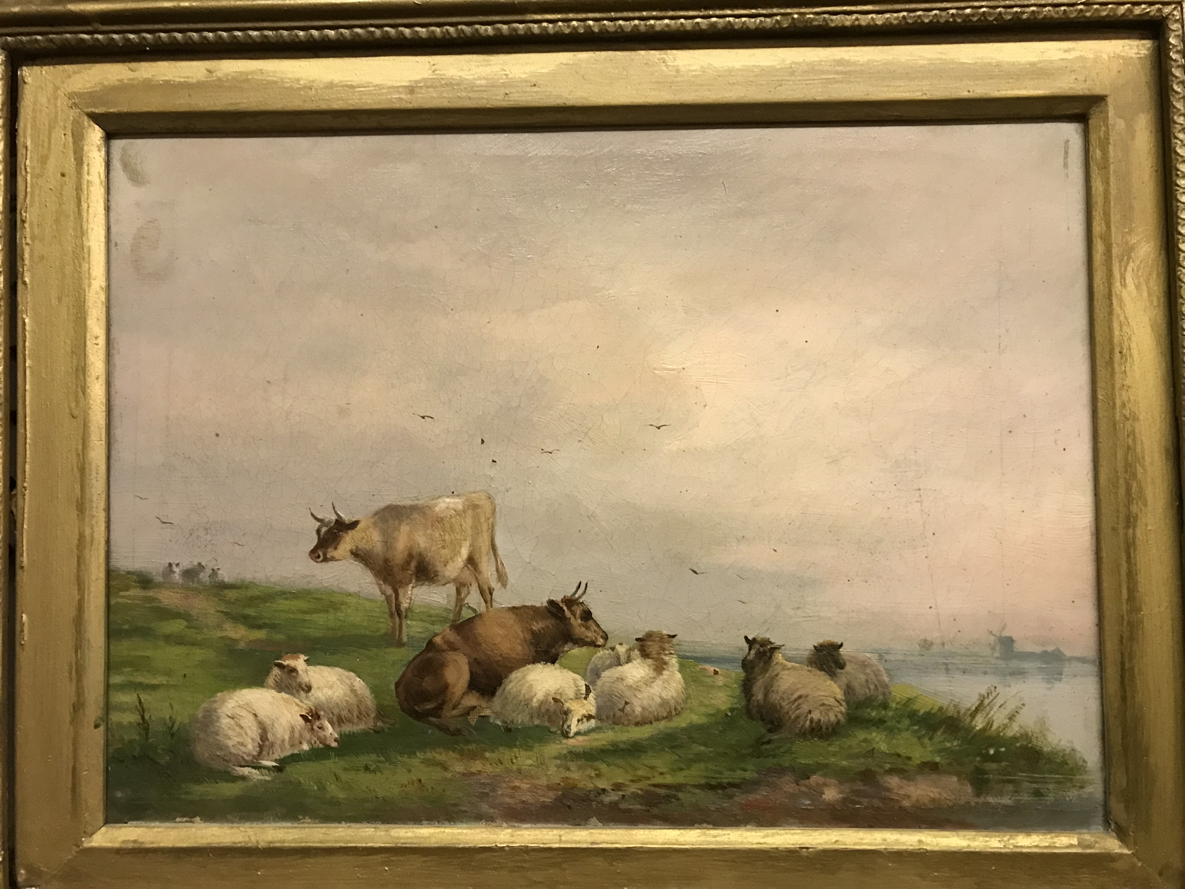 19TH CENTURY ENGLISH SCHOOL "Study of cattle by river with windmills in mid ground", oil on canvas,