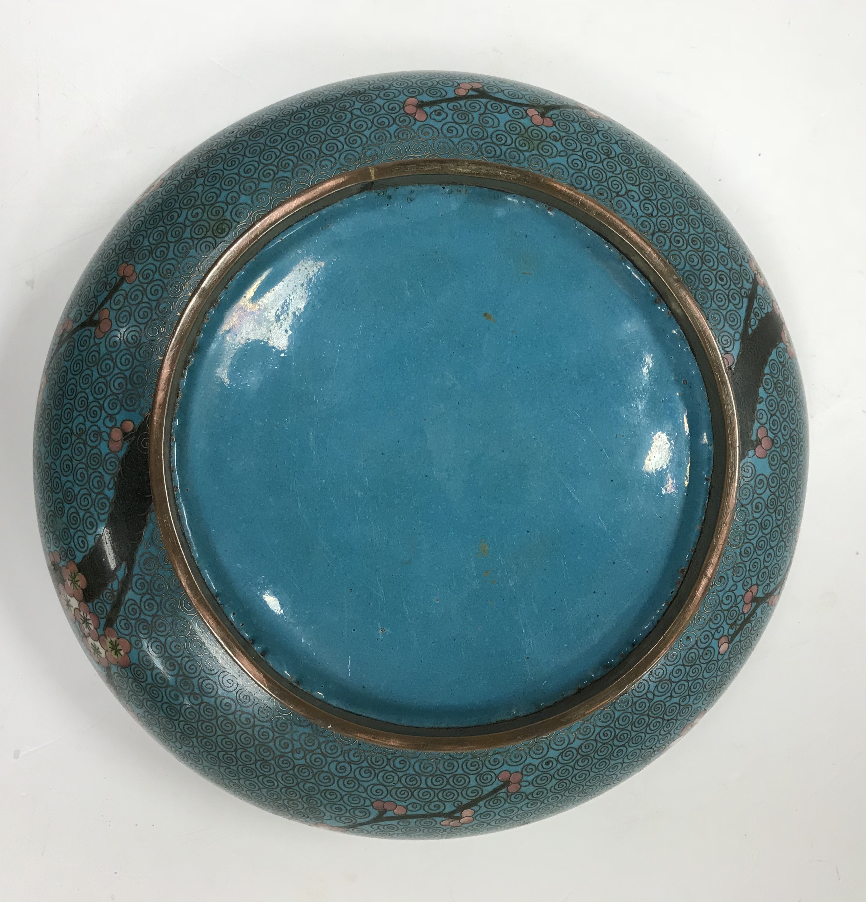 A Chinese turquoise ground cloisonné shallow bowl decorated with branches of prunus blossom raised - Image 7 of 24