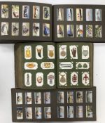 Three vintage albums of cigarette cards