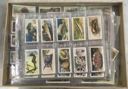 A collection of various cigarette cards,