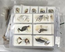 A collection of cigarette cards, birds i