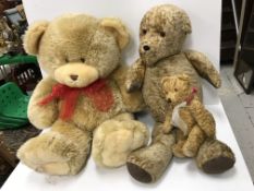 A vintage gold plush teddy bear with sti