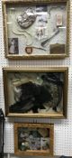 Three framed and glazed bijouterie style displays of lace, linen,