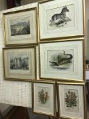 A collection of decorative pictures comprising four natural history coloured engravings including