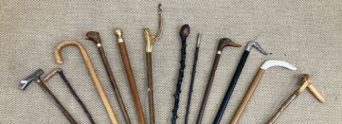 A collection of twelve various walking s