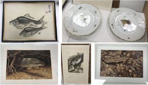 Two Richard Ginori fish decorated plates