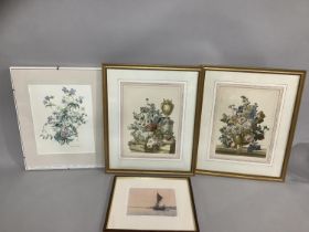 A pair of botanical lithographs by Antoine Chazal 35cm x 27cm, with a botanical study in watercolour