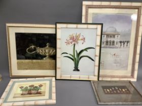 A collection of five modern decorative prints including a pair of botanical studies, etc