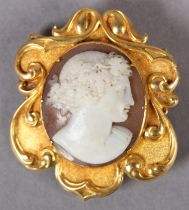 A VICTORIAN SHELL CAMEO BROOCH in 15ct gold, the oval portrait of Baccus collet set with a raised