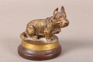 A GILT METAL FIGURE OF A SCOTTISH TERRIER sitting on a circular base, mounted on a mahogany