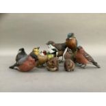 A collection of model birds including Kingfisher, dipper, bullfinch and other garden birds and two