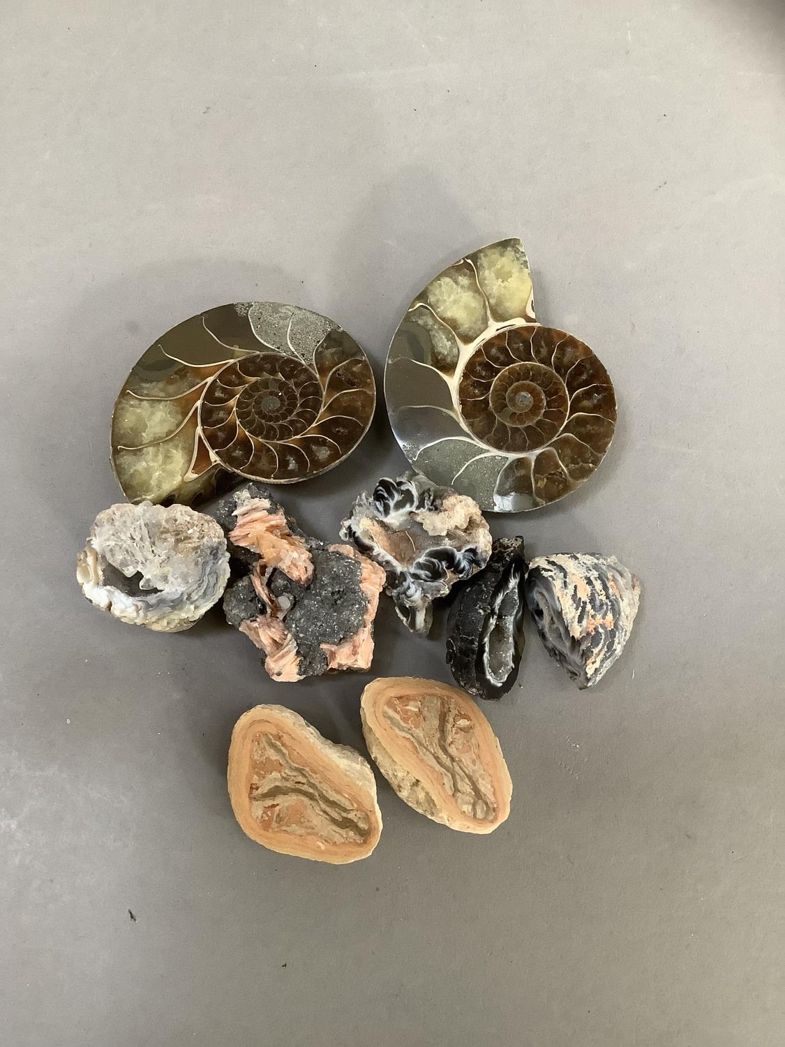 Mineral specimens and fossil - Image 2 of 2