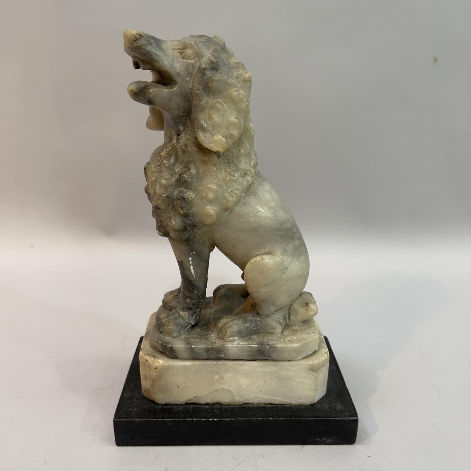 An alabaster carved figure of a poodle, mouth open, upon plinth on ebonised base, 19cm high