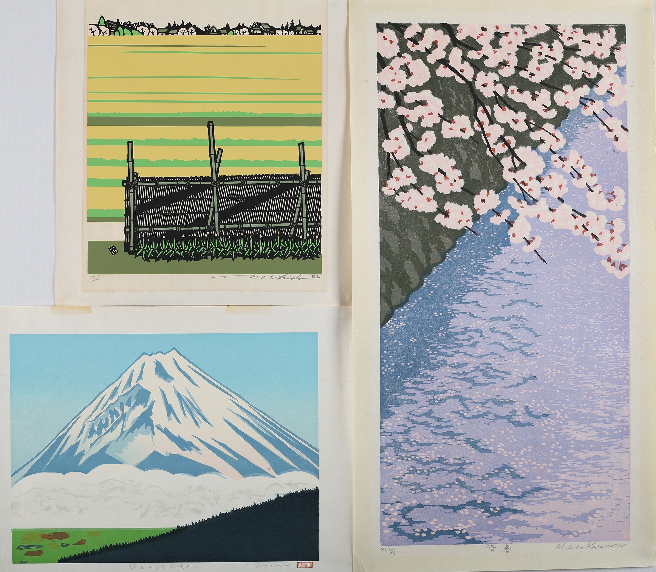 Mihoko Kasamatsu 20th century, Blossom, woodblock print in colours, signed and numbered XCIV/C in