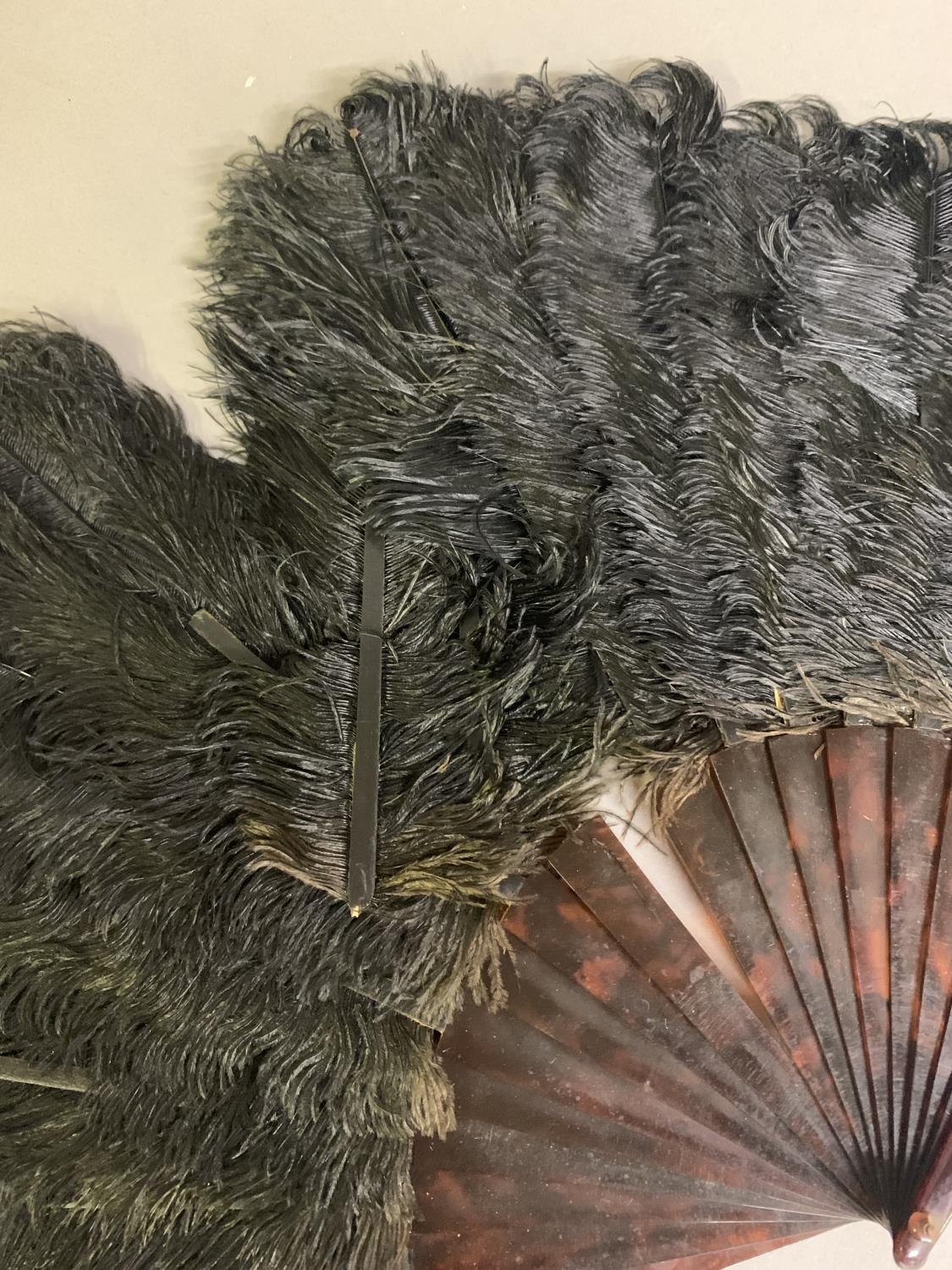 A quite dramatic black and white shaded ostrich feather fan, the monture of bone, the feathers long, - Image 4 of 6