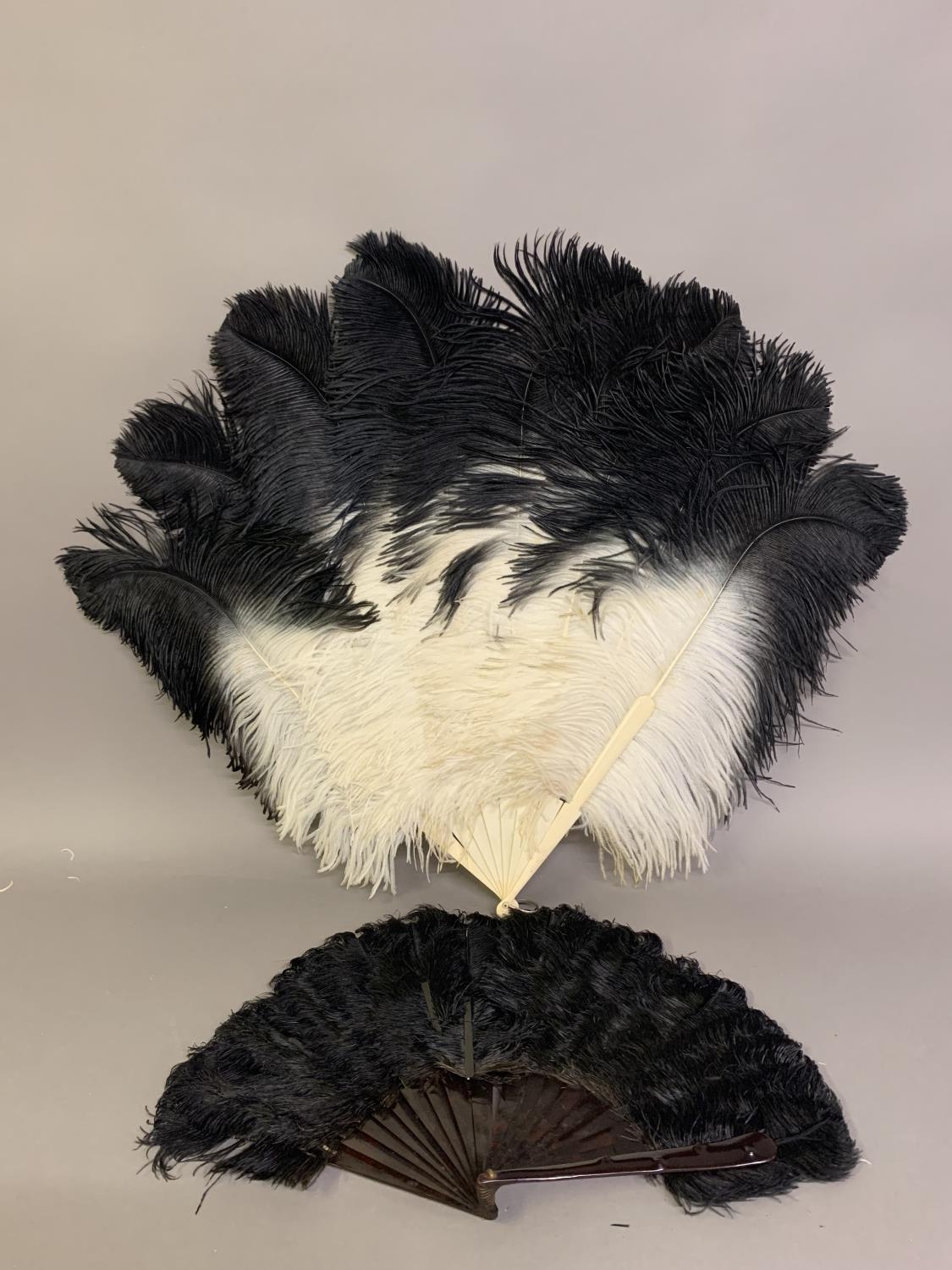 A quite dramatic black and white shaded ostrich feather fan, the monture of bone, the feathers long,