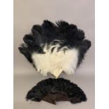 A quite dramatic black and white shaded ostrich feather fan, the monture of bone, the feathers long,