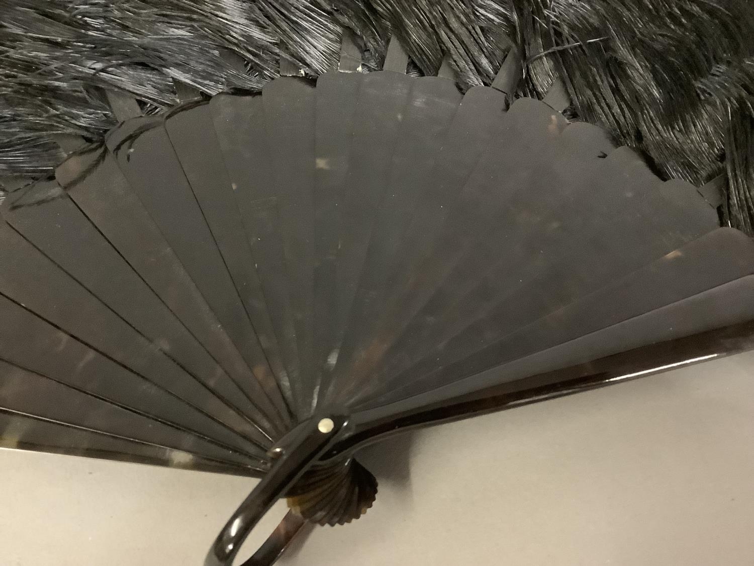 A good black late 19th century ostrich feather fan, the monture of tortoiseshell, with good - Image 3 of 4