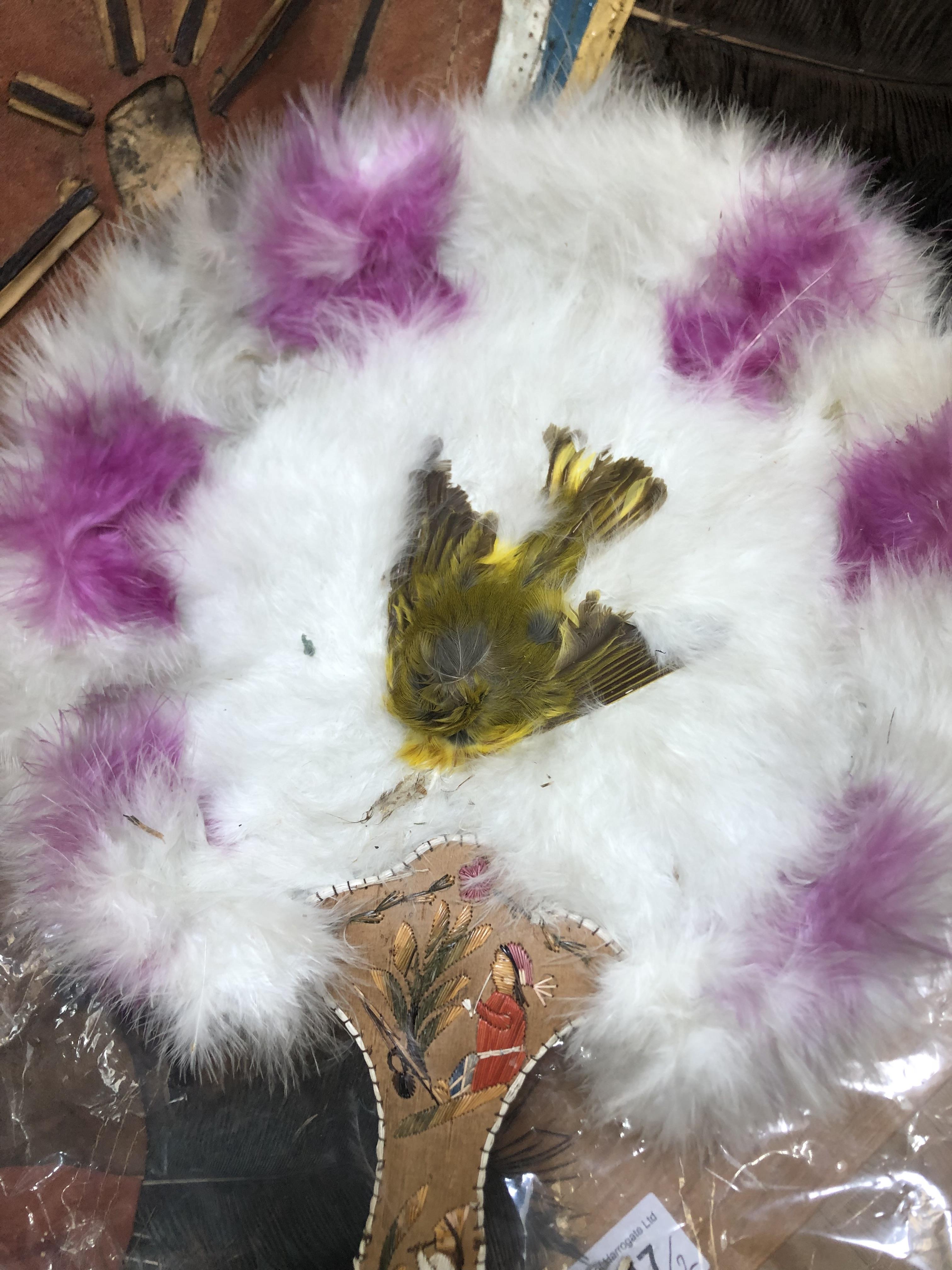 A North American Indian feather fixed fan, 19th century, applied with a small bird, the shaped - Image 6 of 8