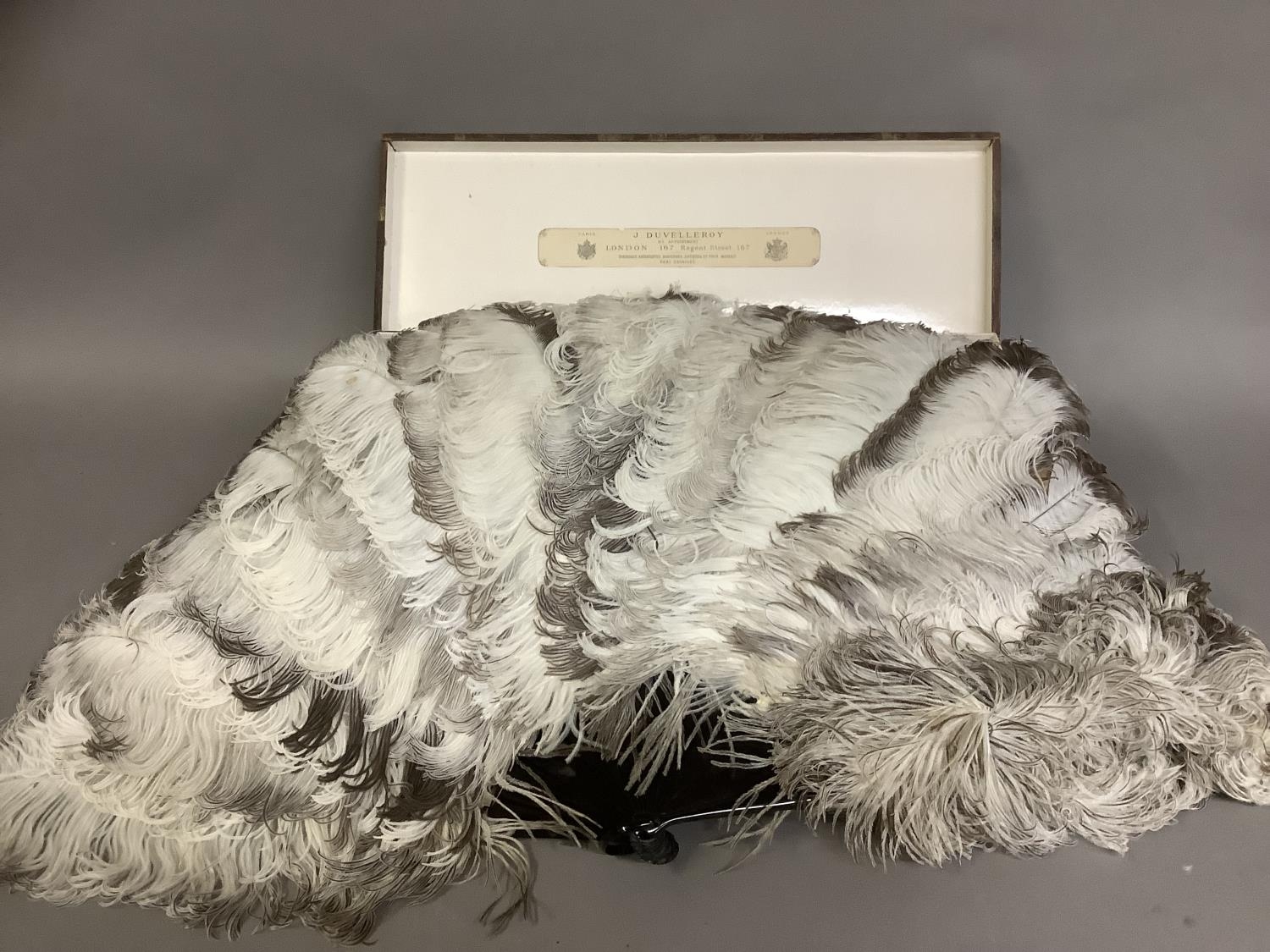 C 1900, an ostrich feather fan, female, in original Duvelleroy fitted box, the monture