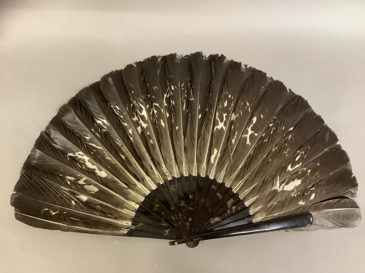 A female ostrich feather fan, mounted on tortoiseshell, with curly feathers, overall height - Image 2 of 5