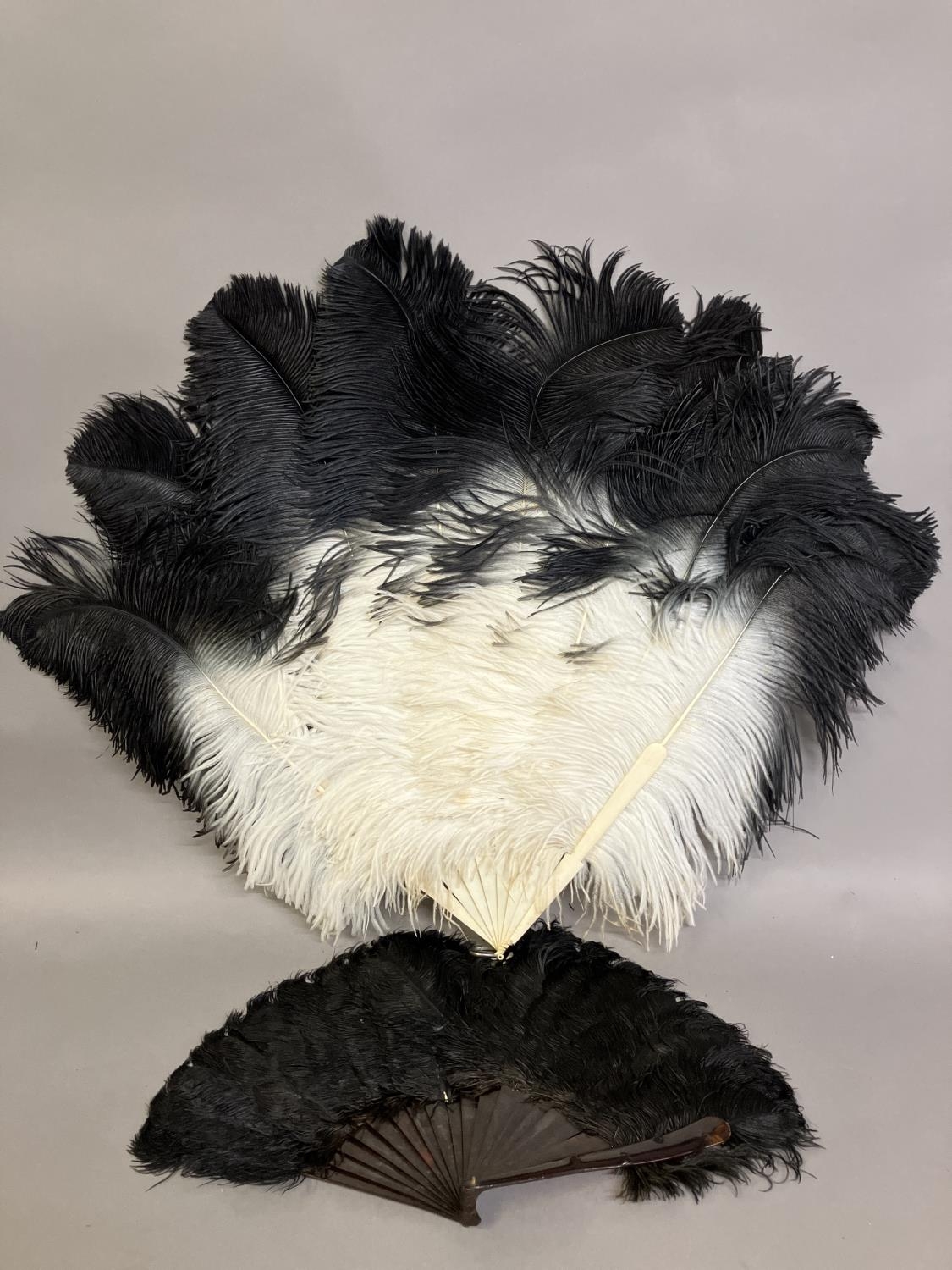 A quite dramatic black and white shaded ostrich feather fan, the monture of bone, the feathers long, - Image 2 of 6