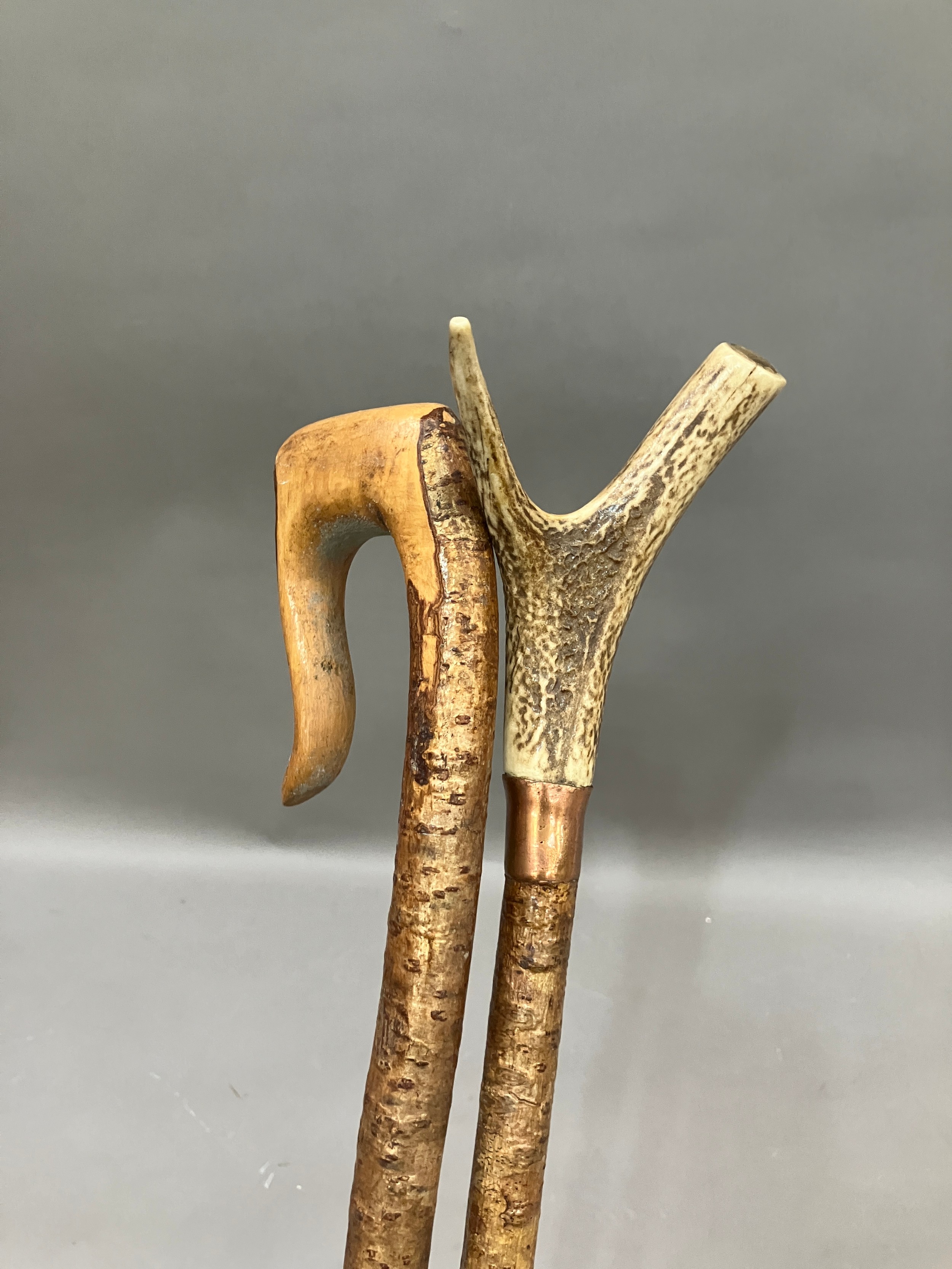 Two walking sticks, one with antler handle the other with crook handle