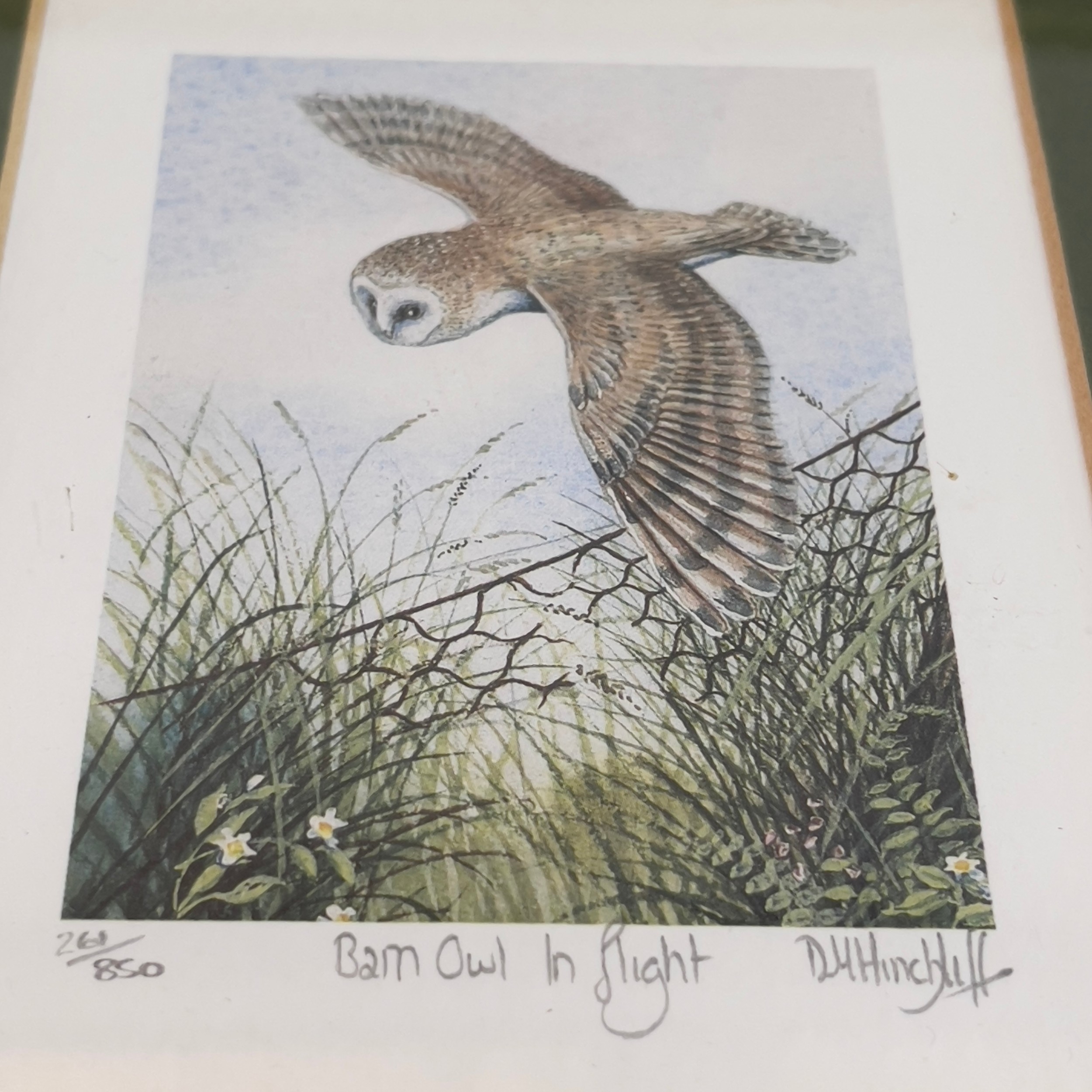 After D. M. Hinchliff, Barn owl in Flight and Pheasant in Flight, limited colour prints, 261/850 and - Image 3 of 3