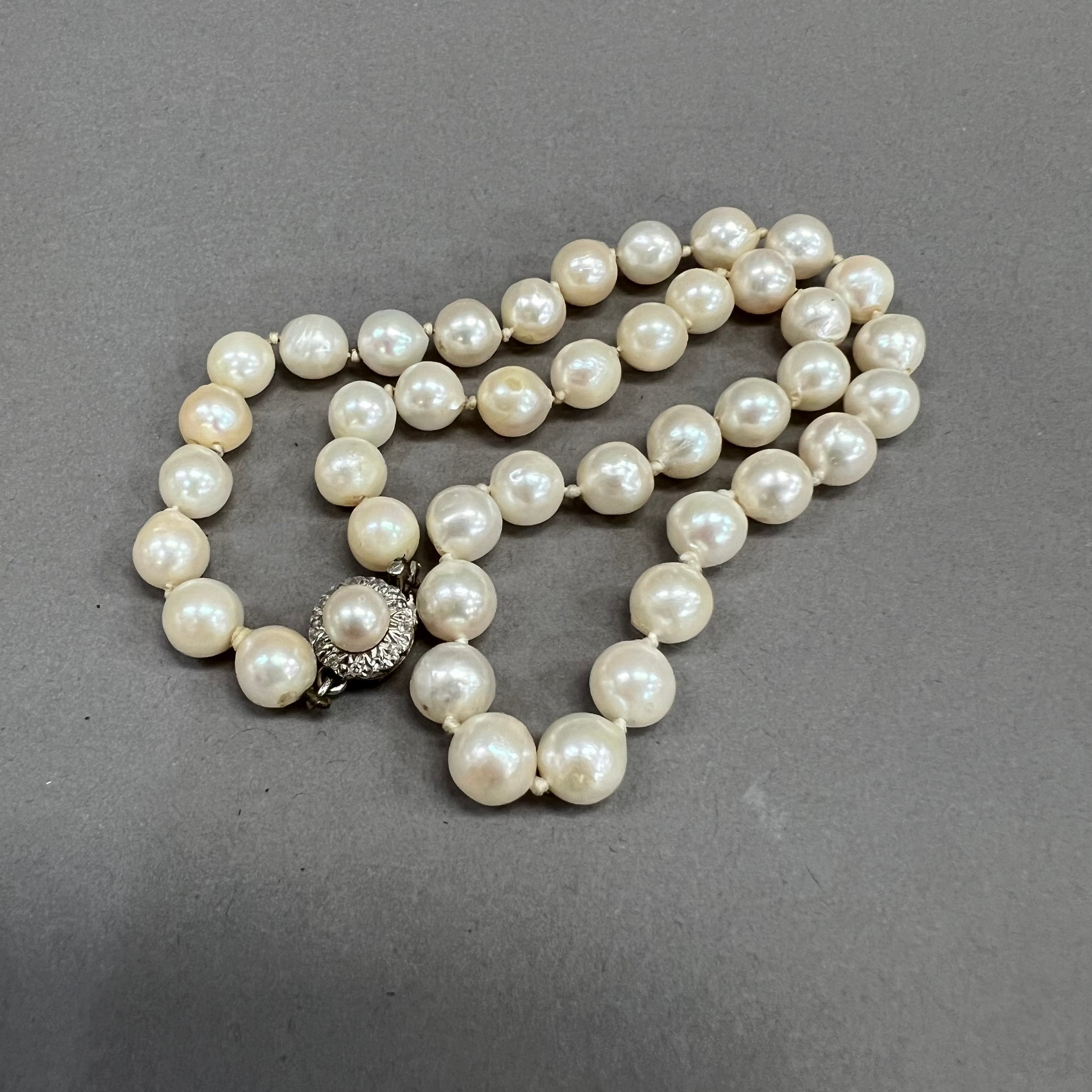 A cultured pearl choker necklace circa 1950 with white gold, diamond and pearl set cluster snap in - Image 2 of 4