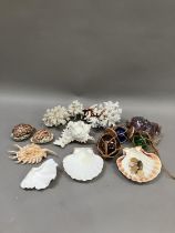 A collection of seashells, coral, green, blue and brown glass floats, amethyst sample etc