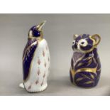 A Royal Crown Derby Koala bear paperweight and a penguin, gold button to one, 11cm and 13.5cm high