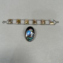 A mid 20th century butterfly wire brooch in silver, the oval portrait of a Kingfisher perched over