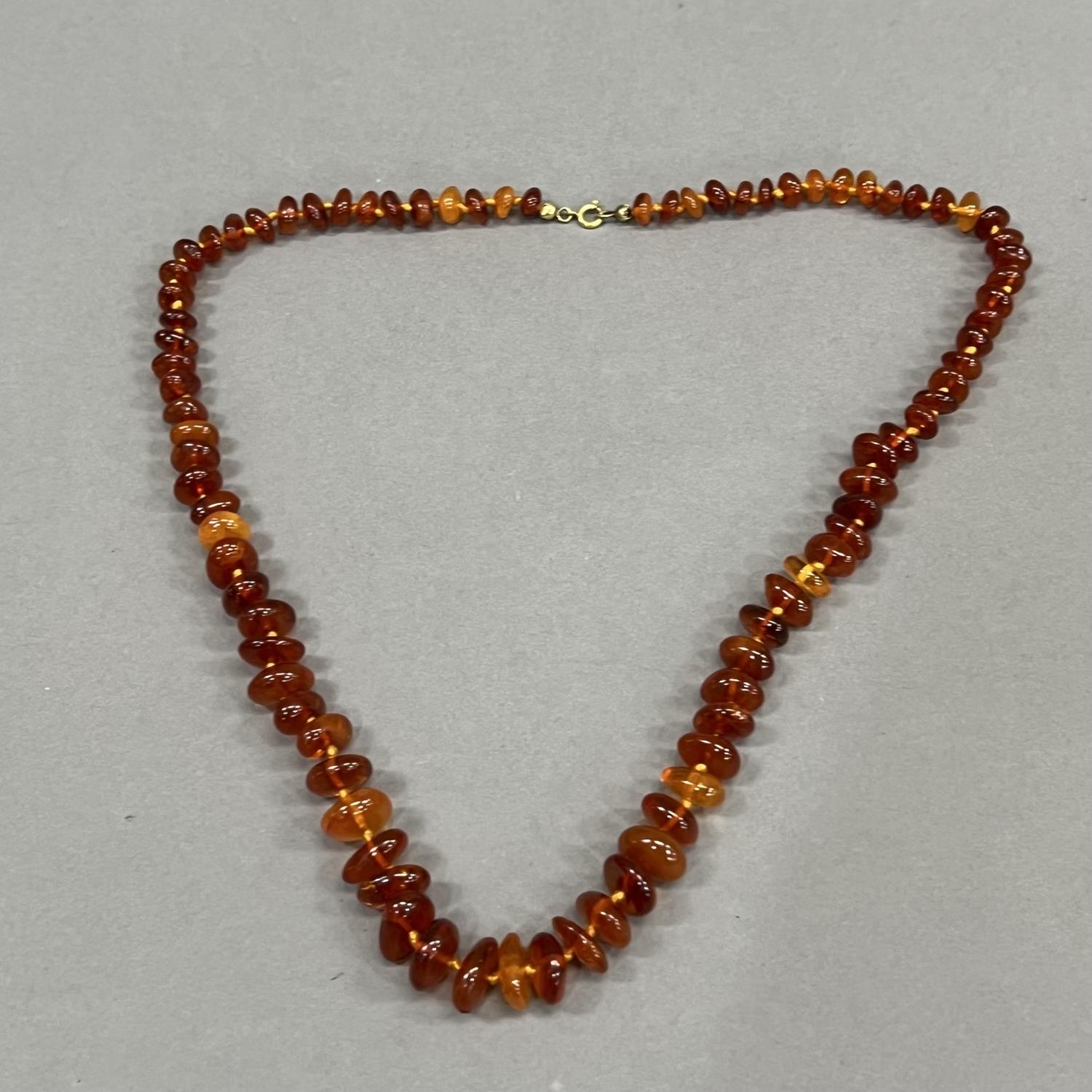 A necklace of graduated roughly oval Baltic amber beads fastened with a rolled gold bolt ring,