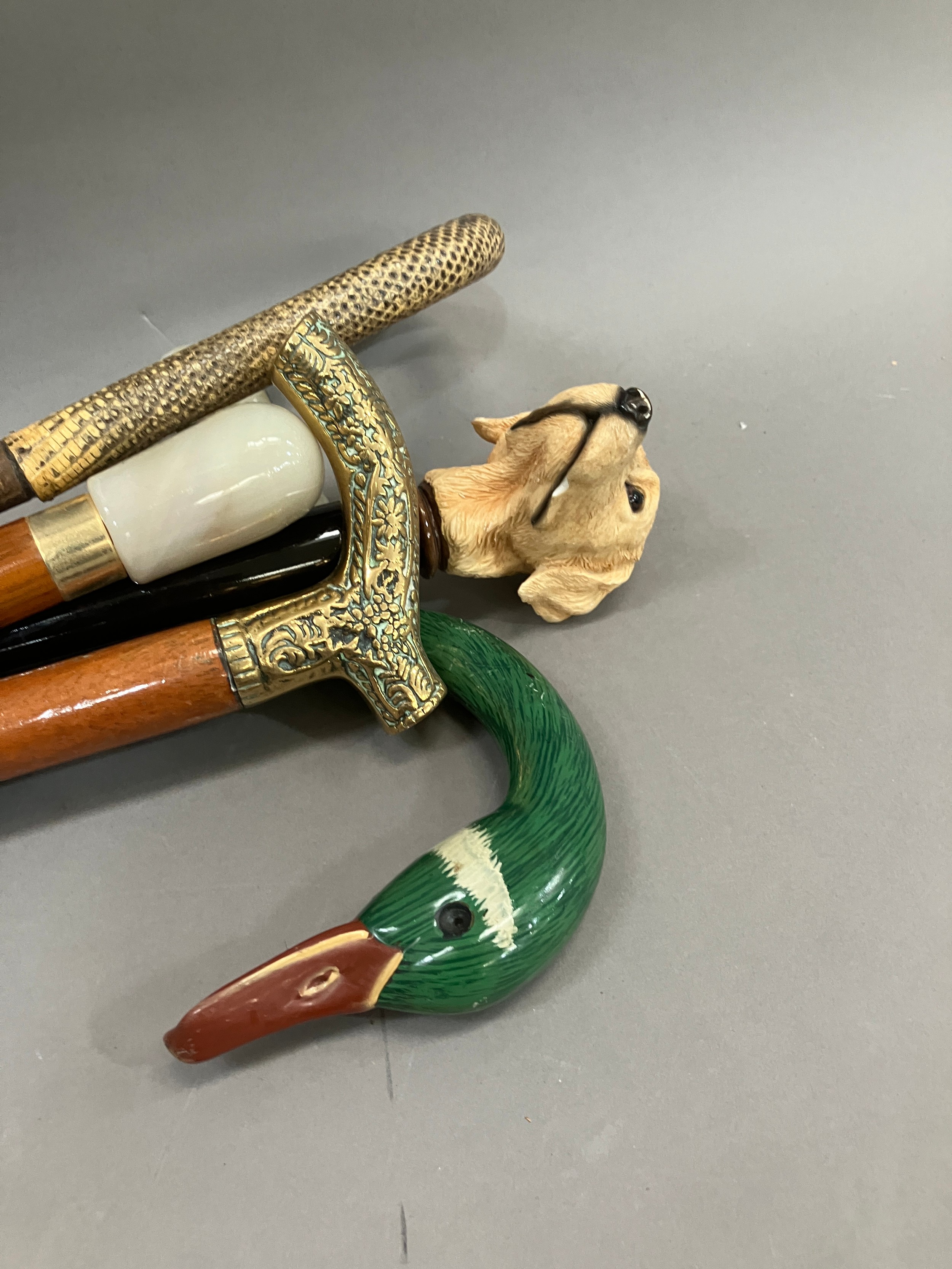 Five various walking sticks including resin Labrador handle, faux snakeskin handle, brass, faux - Image 2 of 3