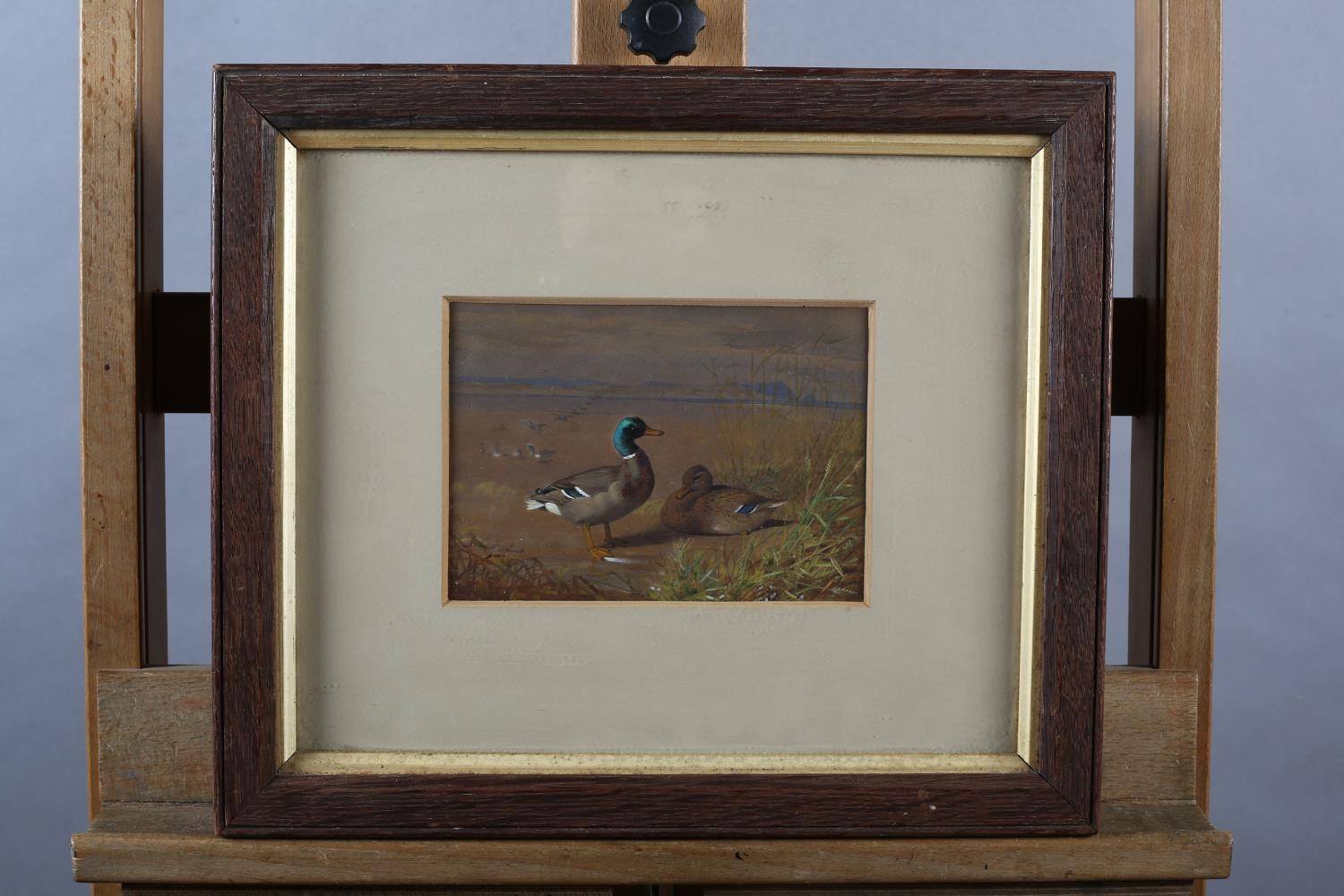 British School (Early to mid 20th century), Mallard, drake and duck, in coastal landscape,