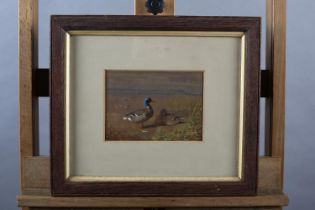 British School (Early to mid 20th century), Mallard, drake and duck, in coastal landscape,