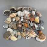 A collection of sea shells, an agate geode in halves, rocks, pebbles, etc.