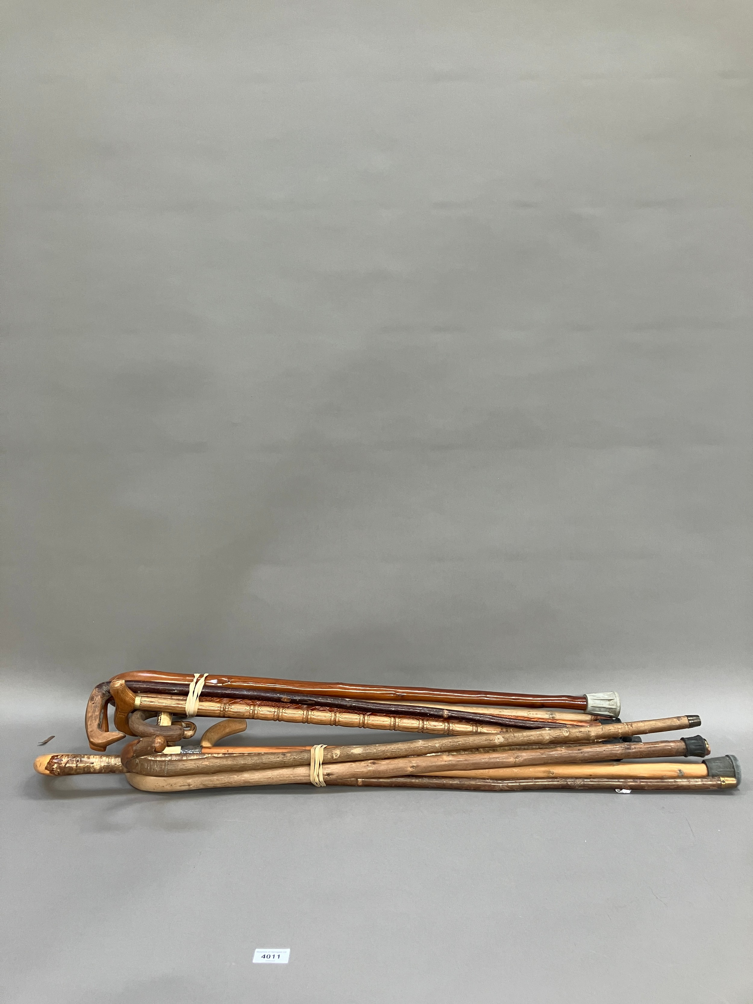 A collection of twelve walking sticks