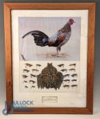 Framed and glazed display showing a Jungle Cock cape amid 20 traditional steel eyes salmon flies,