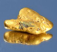 Golden Opportunity – Scarce Gold Nugget named ‘Hiro’s Nugget’, weighed at 64.8grams