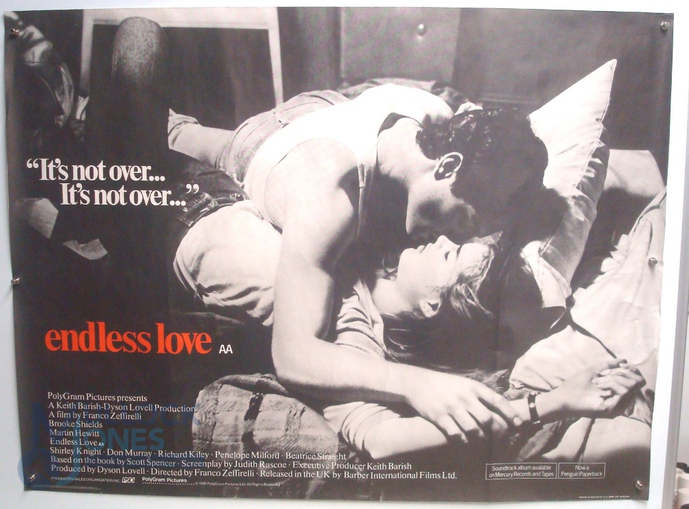 Original Movie/Film Poster - 1986 A Room with a View, 1981 Endless Love - 40x30" approx. kept - Image 2 of 2