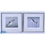 2x Tim Hawes Signed Fishing Prints, of the Rainbow Trout and the Brown Trout in frames and
