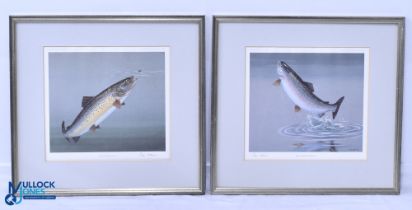 2x Tim Hawes Signed Fishing Prints, of the Rainbow Trout and the Brown Trout in frames and