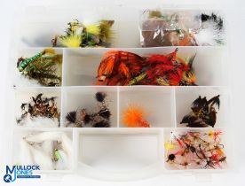 A large plastic double-sided box 10.5” x 8.5” with 28 compartments and a huge collection of flies,